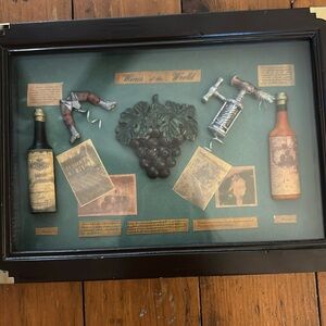 Italian Wines of the World Shadow Box wall decoration